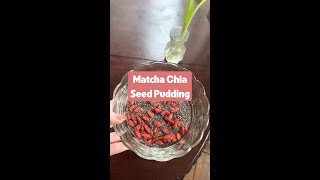 Easy Matcha Chia Seed Pudding Recipe!