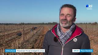 La taille des vignes : un rituel hivernal et indispensable, dans un contexte de crise viticole