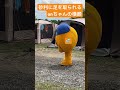 水曜どうでしょう htb onちゃん 藤村忠寿 ここキャン北海道 ここをキャンプ地とする