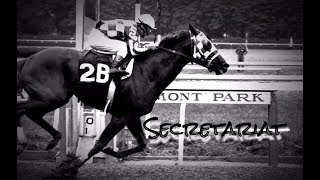 Secretariat ~Edit