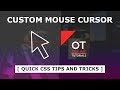 How to Create Custom Cursor Using Html and CSS - Custom Mouse Cursor in CSS - Quick Tips and Tricks