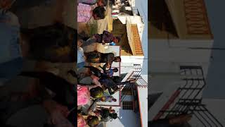 Holi is celebrated in Dollar's colony in Agalakera