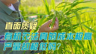 直面质疑！有机农法真的成本极高产量却极低？