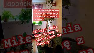 13 stycznia 2024 #shortvideo ,#shorts ..Witam i pozdrawiam.Miłego weekendu,.Zapraszam