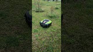 ロボット草刈り経過動画、助かります！ソーラー充電草刈り機の登場