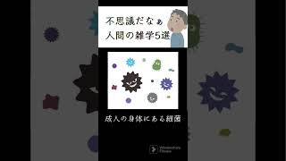 不思議だなぁ…人間の雑学5選#人間#雑学