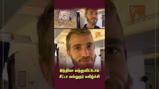 Cheetah in India | இந்தியா வந்துவிட்டோம்… சீட்டா வல்லுநர் மகிழ்ச்சி #cheetah #shorts