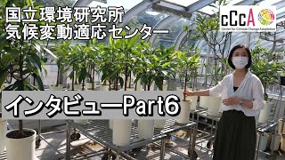 国立環境研究所の研究紹介（気候変動適応センター長インタビュー【分割版６】）