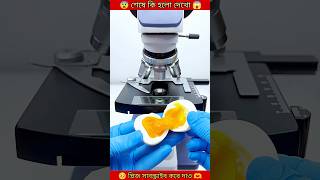 মুরগির ডিম মাইক্রোস্কোপ করলাম 😰#shorts #facts #amazingfacts #shortsfacts #experiment