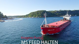 Feed Halten cruising out of Kragerø port | 4K Cinematic |