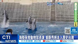 【每日必看】海陸保育動物禁表演 鯨豚秀將走入歷史台灣20240827