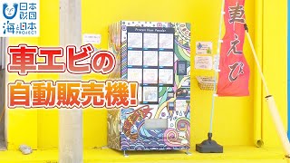 車エビの自動販売機が登場！ 日本財団 海と日本PROJECT in 沖縄県 2021 #19