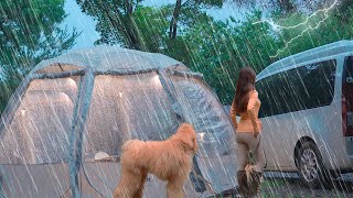 Heavy rain camping / Heavy rain / Rain sound ASMR /  Rain sound good to listen to when sleeping /