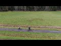 the cycling from drone in kirkkonummi