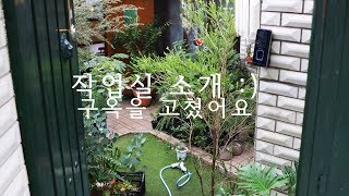 내뜨레 식물 작업실 소개 :D / Home gardening