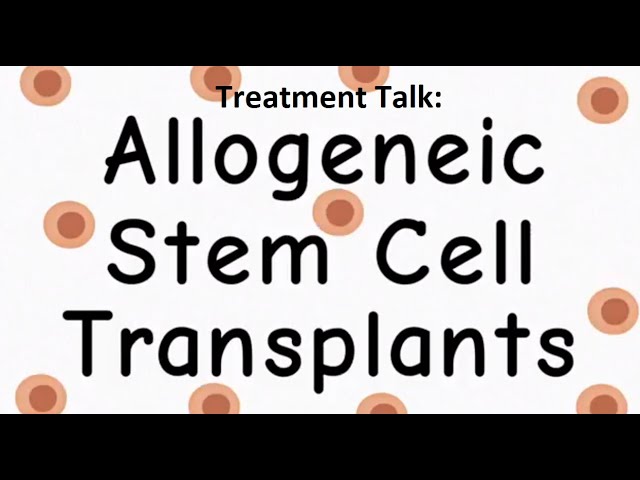 Treatment Talk Allogeneic Stem Cell Transplants