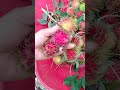 Fresh rambutan #shorts #colorfulfruits #viralvideos #amazingsound #satisfayingsounds