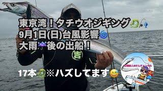 東京湾タチウオジギング☆9月1日(日)台風影響🌀大雨☔️後の出船！