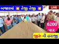 live cumin trading in Jamnagar APMC||Jeera Na bhav||March 24, 2023