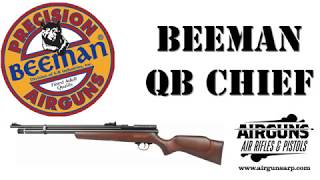 Reviewing the Beeman QB Chief entry level PCP