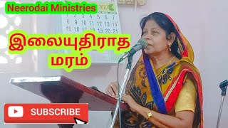 இலையுதிராத மரம் - Dr.S.Gracia Jesubai