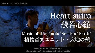 [般若心経 -Heart sutra-] by Music of the Plants \