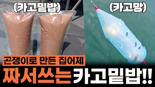 곤쟁이 밑밥으로 카고 찌낚시를 해봤습니다 I 박과장TV