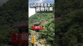 山の中を走る貨物列車【日豊本線 宗太郎-市棚】Freight train running in the mountains　#shorts