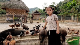 Orphan Po helps his mother do everything when she is sick, life of single mother and an orphan girl