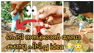 ചെടി നനക്കാൻ ബ്രോ കണ്ടു പിടിച്ച idea 💡😳#viral #creative #ideas #malayalam #youtubevideo