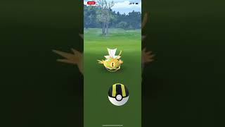 【ポケモンgo】コイキング色違いゲット\u0026進化！