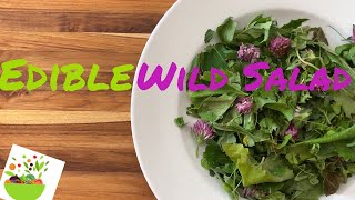 Edible Wild Salad | Foraging | Edible Wilds