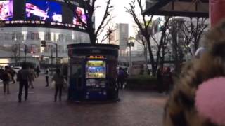 Tokyo shinjuku さいさいおもちゃくん ガリガリ神田ホイ Catjukevox