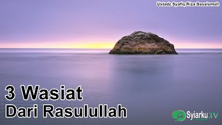 3 Wasiat Rasulullah ke Abu Hurairah yang perlu diamalkan ~ Ustadz Syafiq Riza Basalamah