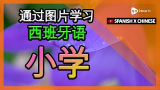 通过图片学习西班牙语|西班牙语词汇小学 | Golearn