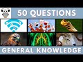 General Knowledge Quiz Trivia #172 | Wireless, One Snoopy Place, Golden Shoe, Lungs, Male Sheep