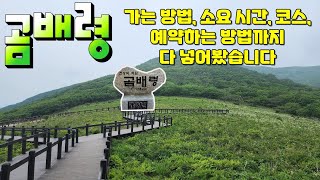 곰배령 가는 방법, 코스, 소요시간, 예약하는 방법 / 처음이시면 꼭 보고 가세요