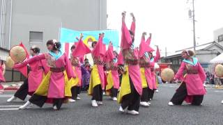 瑞浪源氏七夕まつり　いりゃあせ南都　2016.8.6