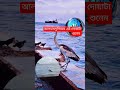 আলহামদুলিল্লাহ এই দোয়াটা শোনেন হু আর ইউ