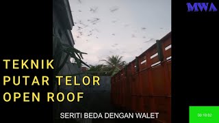 TEKNIK PUTAR TELOR SERITI MENUJU BUDIDAYA WALET OPEN ROOF