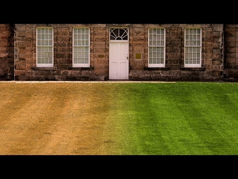 Photoshop Quick Tip Tutorial: How to Make Burnt-out, Brown GRASS into a Lush, Green LAWN Photoshop Quick Tip Tutorial: How to Make Burnt-out, Brown GRASS into a Lush, Green LAWN