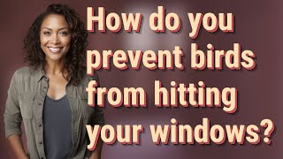 How do you prevent birds from hitting your windows?