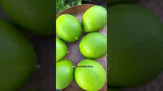 Green limes are great, but have you tried a yellow lime?! They are tart, sweet + juicy. #gardening