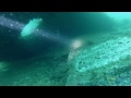 diving the canhoneira faro faro gunboat june 25 2014