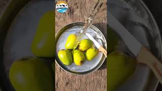 Tribal Villages wild Mango fruits మా ఊర్లో దొరికే అడవి మామిడి పండ్లు Tribal Village Vlogs #Shorts