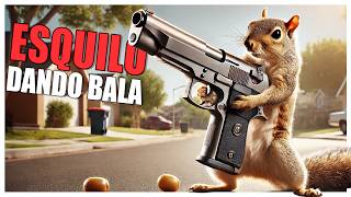 Literalmente um Esquilo com uma arma no Squirrel with a Gun