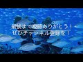 【不動産投資】日本政策金融公庫の融資の活用法はこれ！資金繰りで失敗しない、具体的な３つの方法とは？【融資】【不動産】