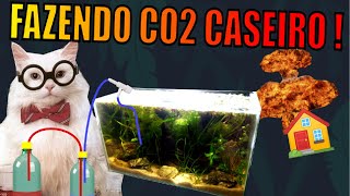 🔴 COMO FAZER CO2 CASEIRO PARA AQUÁRIOS PLANTADOS! ( BARATO E FÁCIL ) |Mr. Betta|