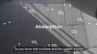 Concrete absorbs carbon dioxide. Did you know that?