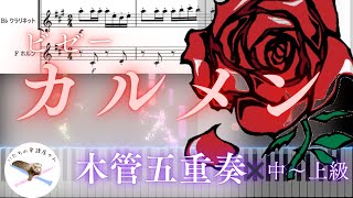 【木管五重奏楽譜】カルメンメドレー／ビゼー【編成変更可能🌷】 Carmen medley／Bizet